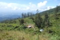 Arjuno_welirang 370
