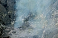 bromo001