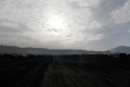 DSCN8090