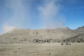 image_1000000610
