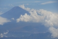 alor-to-flores-699