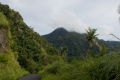 DSCN2666