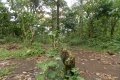 bukit-jempol-071