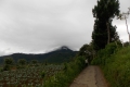 DSCN6380