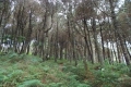 DSCN6389