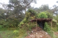 DSCN6404