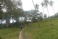 DSCN6693