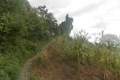 DSCN6700