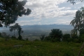 DSCN6711