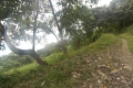 DSCN6719