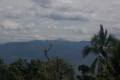 DSCN6728