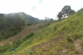 DSCN6736
