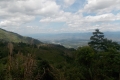 DSCN6762