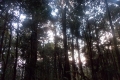 DSCN6952