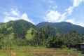 palu-020