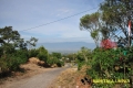 bukit-mulie-village