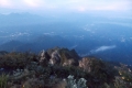 DSCN8862