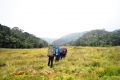 journey-to-savanna
