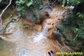 water-springs-in-savanna