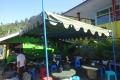 DSC06481
