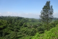 DSC06488