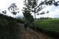 DSC06489
