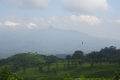 DSC06503