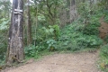 DSC06507