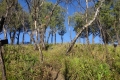 DSC06540