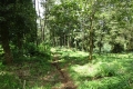 DSC06782