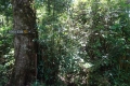DSC08474