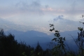 DSC08525