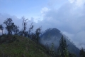 DSC08530