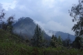 DSC08531