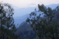 DSC08596