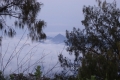 DSC08704