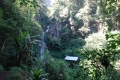 DSC08785