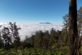 DSCN1557