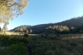 DSCN1573