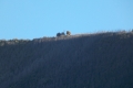 DSCN1576