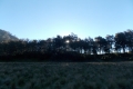 DSCN1581