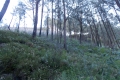 DSCN1598