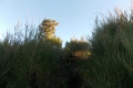 DSCN1615