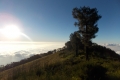 DSCN1617
