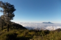 DSCN1618