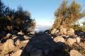 DSCN1624
