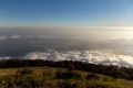 DSCN1634