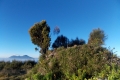 DSCN1638