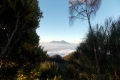 DSCN1658