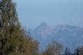 DSCN1805